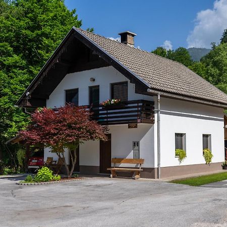 Apartma Pri Lipi Bohinj Exterior photo