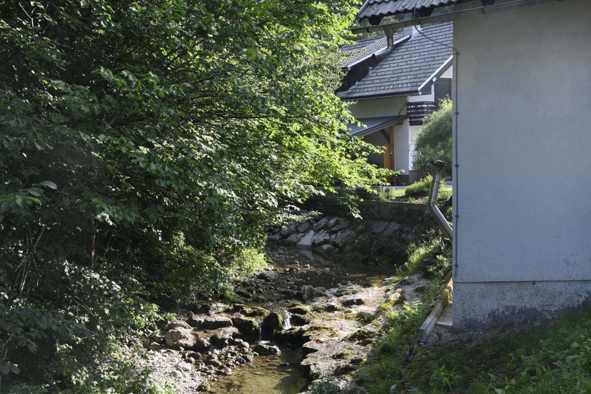 Apartma Pri Lipi Bohinj Exterior photo
